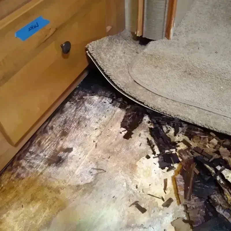 Wood Floor Water Damage in North Arlington, NJ